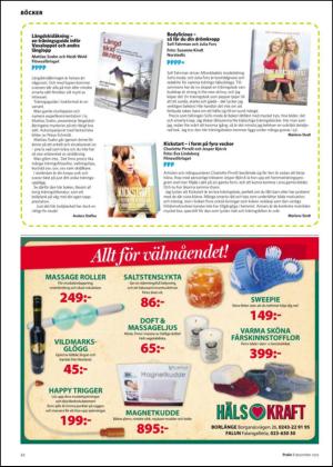 nyaludvikatidning_bilag-20121208_000_00_00_022.pdf