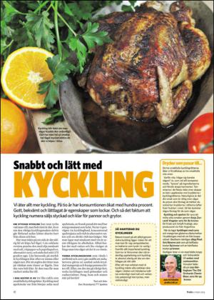 nyaludvikatidning_bilag-20130302_000_00_00_018.pdf