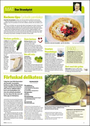 nyaludvikatidning_bilag-20130316_000_00_00_021.pdf