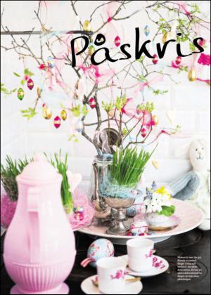 nyaludvikatidning_bilag-20130323_000_00_00_016.pdf