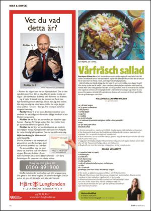 nyaludvikatidning_bilag-20130420_000_00_00_024.pdf