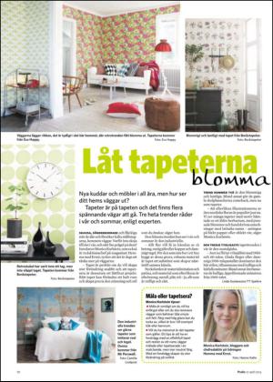 nyaludvikatidning_bilag-20130427_000_00_00_010.pdf