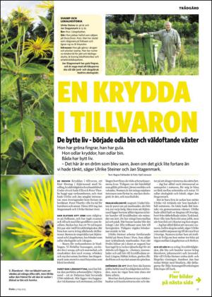 nyaludvikatidning_bilag-20130504_000_00_00_017.pdf