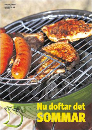 nyaludvikatidning_bilag-20130518_000_00_00_021.pdf