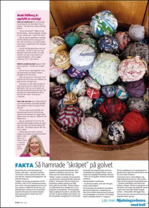 nyaludvikatidning_bilag-20130608_000_00_00_005.pdf