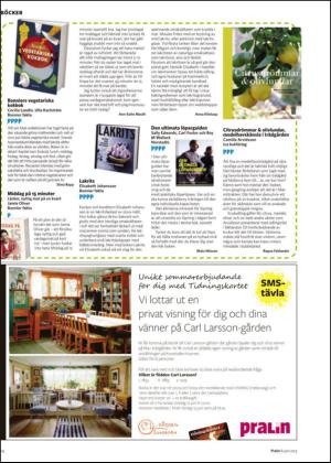 nyaludvikatidning_bilag-20130608_000_00_00_014.pdf