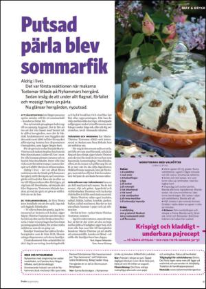 nyaludvikatidning_bilag-20130629_000_00_00_047.pdf