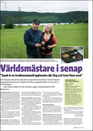 nyaludvikatidning_bilag-20130831_000_00_00_010.pdf
