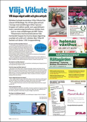nyaludvikatidning_bilag-20130907_000_00_00_011.pdf