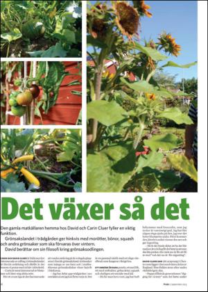 nyaludvikatidning_bilag-20130907_000_00_00_016.pdf