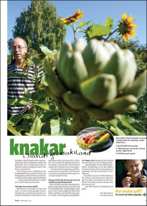 nyaludvikatidning_bilag-20130907_000_00_00_017.pdf