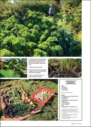 nyaludvikatidning_bilag-20130907_000_00_00_018.pdf