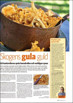 nyaludvikatidning_bilag-20130907_000_00_00_022.pdf