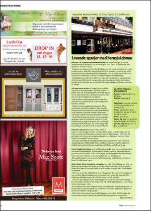 nyaludvikatidning_bilag-20130907_000_00_00_024.pdf