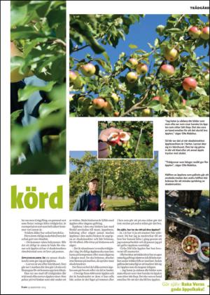 nyaludvikatidning_bilag-20130914_000_00_00_019.pdf