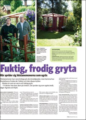 nyaludvikatidning_bilag-20130928_000_00_00_006.pdf