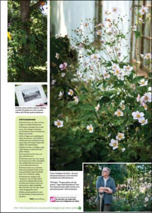 nyaludvikatidning_bilag-20130928_000_00_00_007.pdf