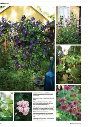 nyaludvikatidning_bilag-20130928_000_00_00_008.pdf