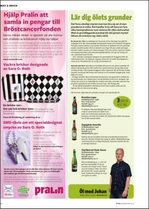 nyaludvikatidning_bilag-20130928_000_00_00_020.pdf