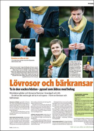 nyaludvikatidning_bilag-20131005_000_00_00_017.pdf