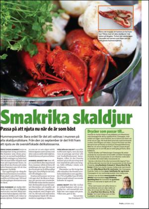 nyaludvikatidning_bilag-20131005_000_00_00_022.pdf