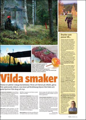 nyaludvikatidning_bilag-20131012_000_00_00_018.pdf