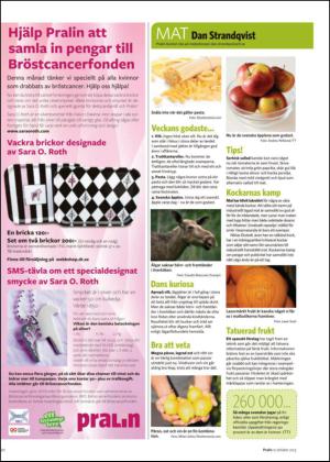 nyaludvikatidning_bilag-20131012_000_00_00_020.pdf
