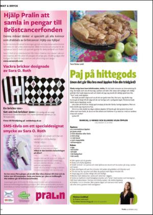 nyaludvikatidning_bilag-20131019_000_00_00_024.pdf