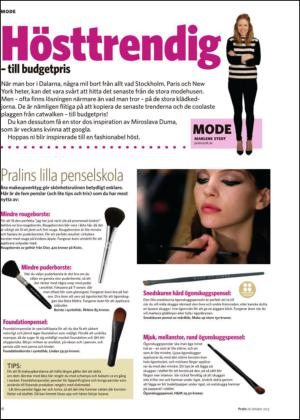 nyaludvikatidning_bilag-20131026_000_00_00_018.pdf