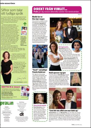 nyaludvikatidning_bilag-20131109_000_00_00_002.pdf