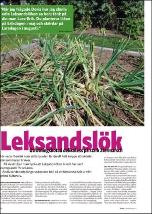 nyaludvikatidning_bilag-20131109_000_00_00_026.pdf