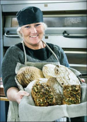 nyaludvikatidning_bilag-20131116_000_00_00_018.pdf