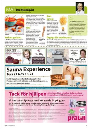 nyaludvikatidning_bilag-20131116_000_00_00_025.pdf
