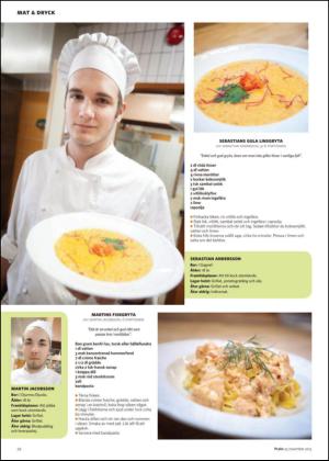 nyaludvikatidning_bilag-20131123_000_00_00_022.pdf