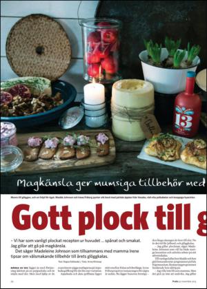 nyaludvikatidning_bilag-20131130_000_00_00_022.pdf