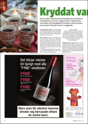 nyaludvikatidning_bilag-20131130_000_00_00_026.pdf