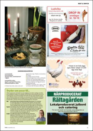 nyaludvikatidning_bilag-20131207_000_00_00_025.pdf