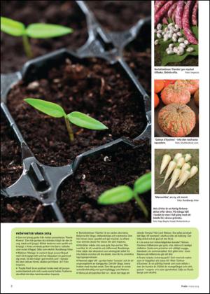 nyaludvikatidning_bilag-20140301_000_00_00_008.pdf