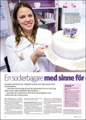 nyaludvikatidning_bilag-20140301_000_00_00_014.pdf