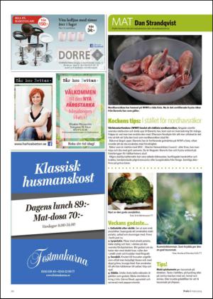 nyaludvikatidning_bilag-20140308_000_00_00_020.pdf
