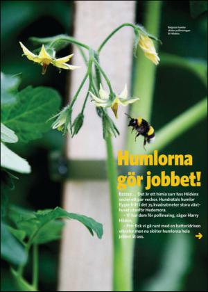 nyaludvikatidning_bilag-20140419_000_00_00_013.pdf