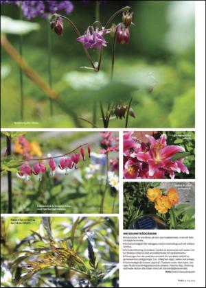 nyaludvikatidning_bilag-20140531_000_00_00_008.pdf