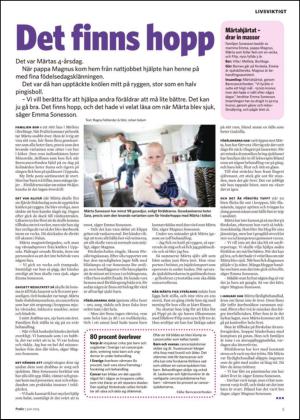 nyaludvikatidning_bilag-20140607_000_00_00_005.pdf
