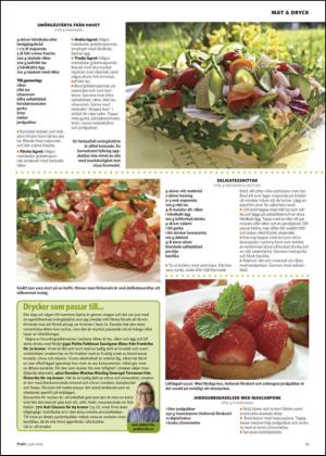nyaludvikatidning_bilag-20140607_000_00_00_019.pdf