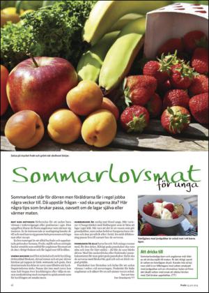 nyaludvikatidning_bilag-20140614_000_00_00_016.pdf