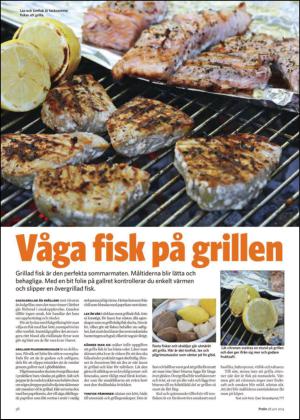 nyaludvikatidning_bilag-20140628_000_00_00_036.pdf