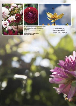 nyaludvikatidning_bilag-20140906_000_00_00_008.pdf