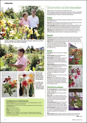 nyaludvikatidning_bilag-20140906_000_00_00_010.pdf