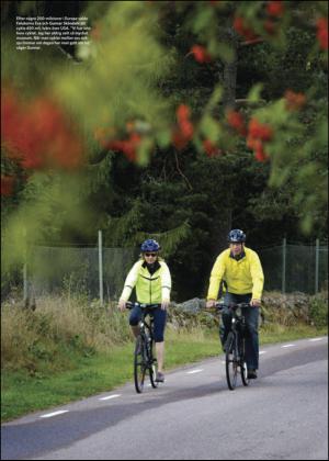nyaludvikatidning_bilag-20140906_000_00_00_012.pdf