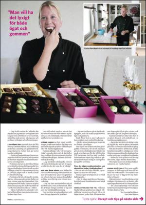 nyaludvikatidning_bilag-20140913_000_00_00_019.pdf